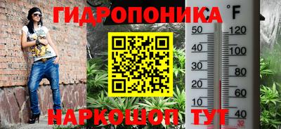 mix Бийск